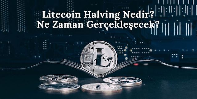 Litecoin Ne Kadar